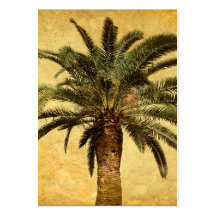 Vintage Palm Tree - Tropical Customised Template Business Card Templates