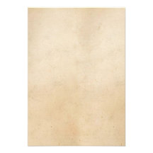 Vintage Paper Antique Parchment Template Blank Invite