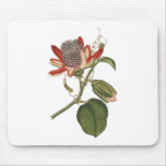 Vintage Passion Flower Mousemat