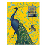 Vintage Peacock & Cage Post Cards