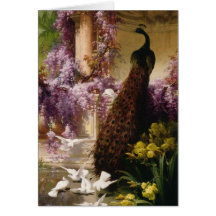 Vintage Peacock Cards