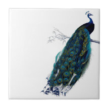Vintage Peacock Ceramic Tile