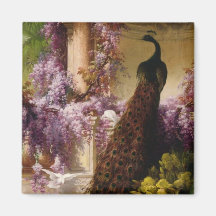 Vintage Peacock Fridge Magnets