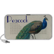 Vintage Peacock iPod Speakers