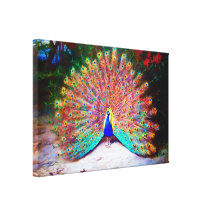 Vintage Peacock Painting Canvas Print
