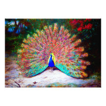 Vintage Peacock Painting Personalized Invitation