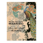 Vintage Peacock postcards