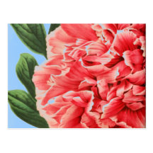 Vintage Peony / Vintage Pfingstrose Postkarten