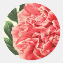 Vintage Peony / Vintage Pfingstrose Runder Sticker