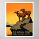 VIntage Preserve Wildlife Poster
