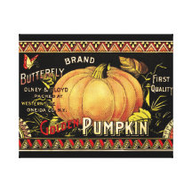 Vintage Pumpkin Seed Package Gallery Wrap Canvas