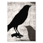 Vintage Raven Goth Collage Customized Birds Crow Photograph