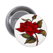 Vintage Red Rose Pinback Button