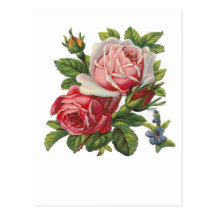 VINTAGE ROSES POST CARDS