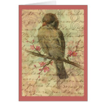 Vintage Sparrow Greeting Cards