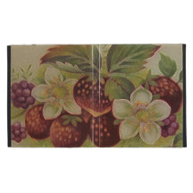 Vintage Strawberries iPad Cases
