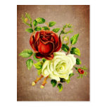Vintage style red and yellow roses post cards