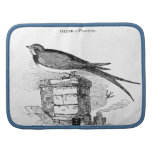 Vintage swallow bird illustration planner