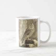 Vintage Tawny Owl Coffee Mugs