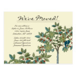Vintage Tee Teal  Birds We Have Moved Post Card