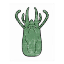 Vintage Termite Post Card