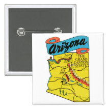 Vintage Travel Arizona AZ State Label Pin