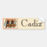 Vintage Travel Poster, Hotel Roma, Cadiz, Spain Bumper Stickers