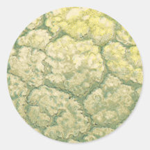 Vintage Vegetables; Cauliflower Round Sticker