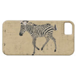 Vintage Zebra iPhone Case iPhone 5 Covers