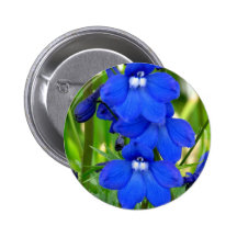 Violet Faces Buttons
