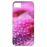 Violet Geranium Petal Dew Drops iPhone 5 Covers