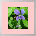 Violet Posters
