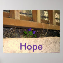 Violets and hope poster