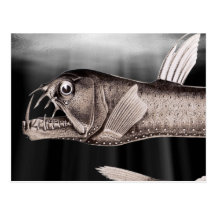 Viperfish Postcards