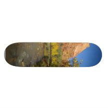 Virgin River In Zion Great Colours In The Fall The Skate Deck