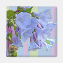 Virginia Bluebells Wildflower Magnet