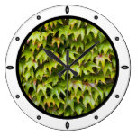 Virginia Creeper