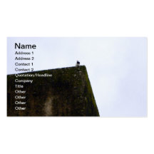 Vision Business Card Template