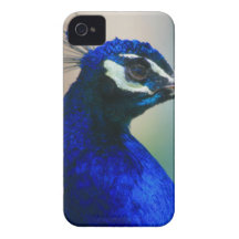 vivid blue peacock Case-Mate iPhone 4 case