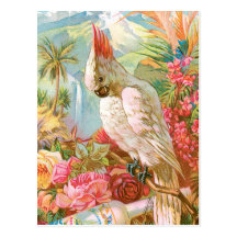 Vivid Flowers and a Cockateil Post Card
