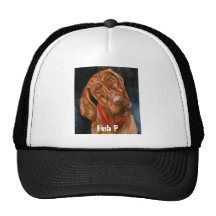 Vizsla, Huh ? Hat
