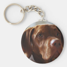 VIZSLA - key chain