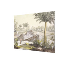 Volcano of Ario di Turbaco near Cartagena, Colombi canvas prints