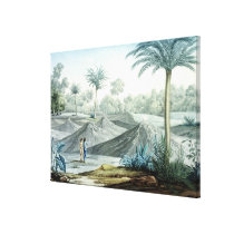 Volcanoes in the region of Turbaco, from 'Vues des canvas prints