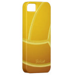 Volleyball Ball Iphone 5 Case
