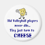 VolleyChick's Cheese Refrigerator Magnet