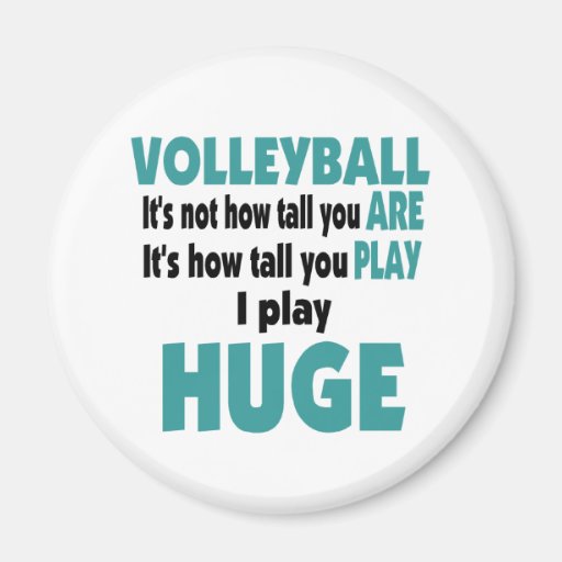VolleyChick's Huge Refrigerator Magnets