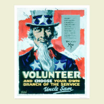 Volunteer and Choose your Branch (US02082) posters