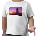WA, Cape Disappointment State Park, North Head 2 Shirts
