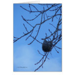 Waiting 4 Spring Greeting Card